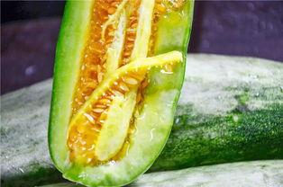 临沂吃瓜网红是谁啊,揭秘临沂地区热门吃瓜达人 第3张 临沂吃瓜网红是谁啊,揭秘临沂地区热门吃瓜达人 第3张